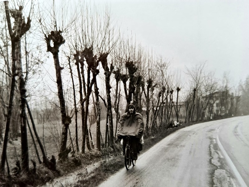Regen