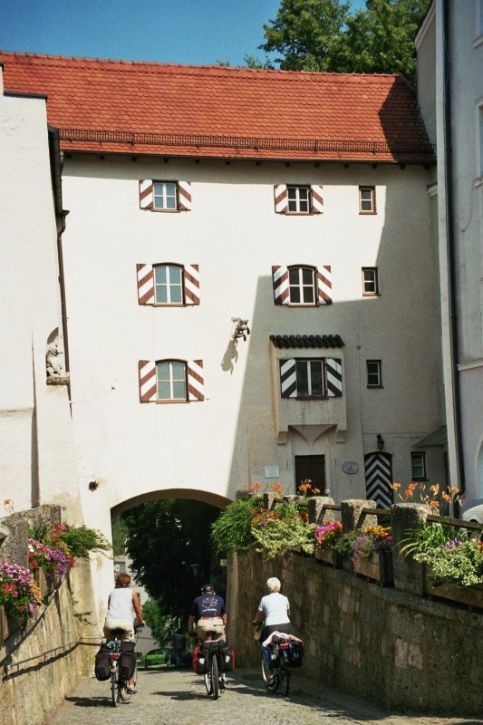 Neutting