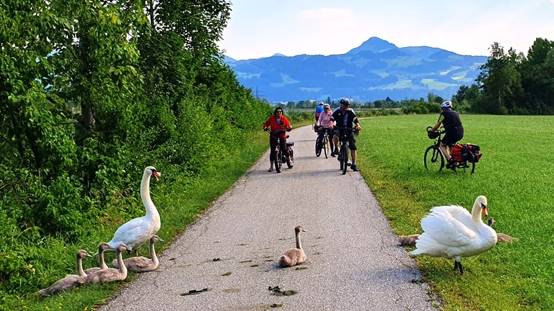 Wegblockade